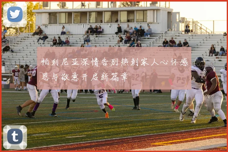 帕利尼亚深情告别热刺家人心怀感恩与敬意开启新篇章